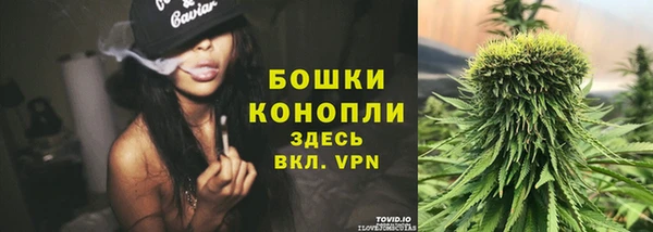 mdpv Ельня