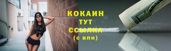 мефедрон мука Заводоуковск
