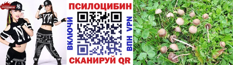 Галлюциногенные грибы MAGIC MUSHROOMS  Зерноград 